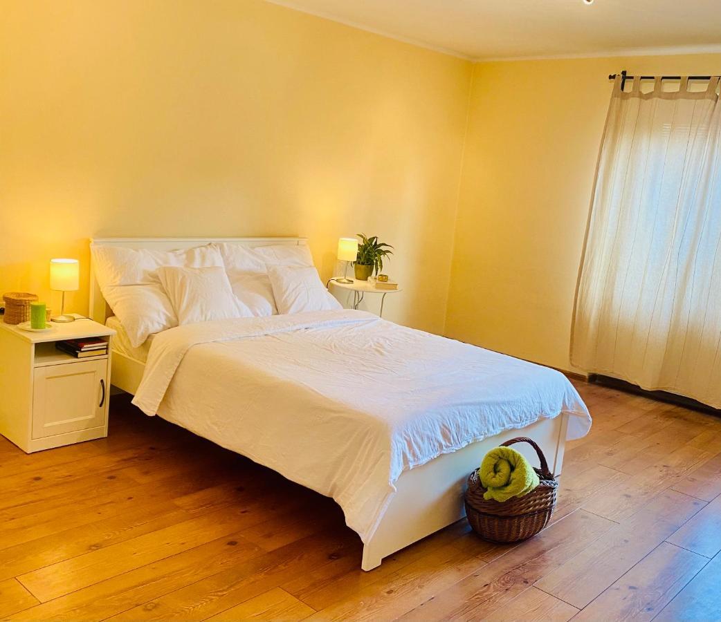 Sunny Attic Apartment Zvolen Dış mekan fotoğraf
